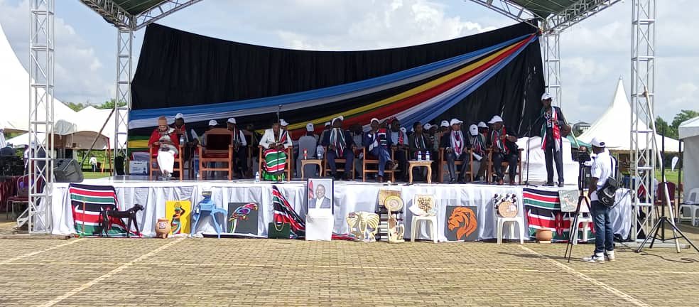 Dona Sava tweet media