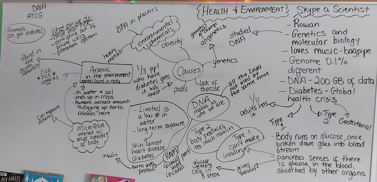 MsSRAhmed's tweet photo. Thanks for joining the 6s @Rfbeck2 and teaching us all about genetics, diabetes and the human impact on the environment affecting our health. @SkypeScientist @DesmondHDSB @DowneyKyla @MsBajwaa @sajefferson1 https://t.co/kw1IJ7fxPV
