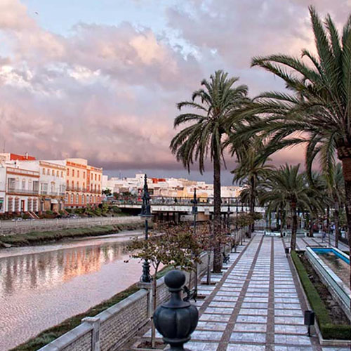 agxstiiin's tweet photo. Me parece increíble que en una ciudad como chiclana vayan a eliminar una alameda histórica para poner otra plaza de hormigón como las que ya han destrozado en los últimos años. Además haciéndose a sabiendas de que la población de chiclana no quiere este proyecto! Vergüenza me da https://t.co/6Lq4OJnV9Z