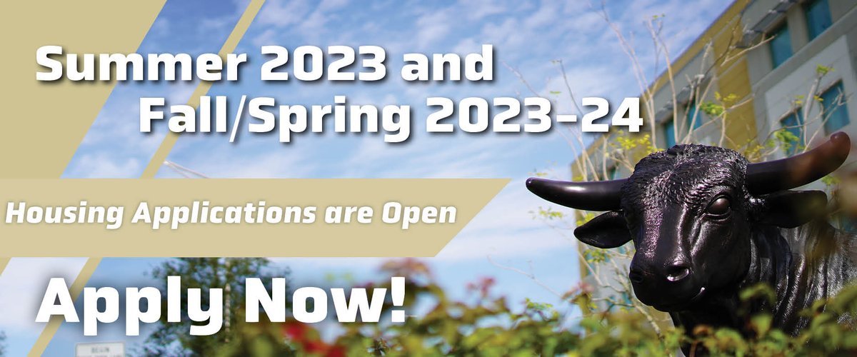 USF Housing tweet media