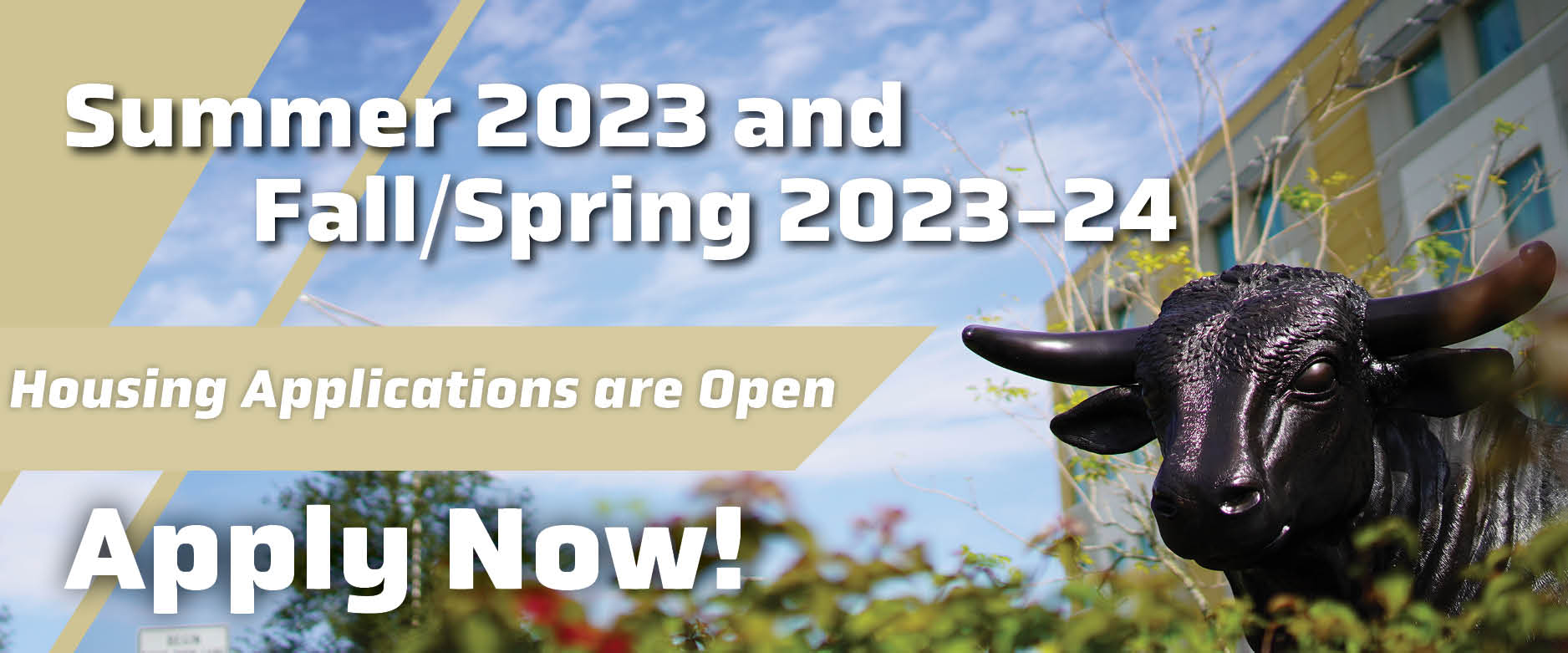 USF Housing (usfhousing) / Twitter