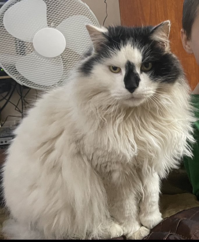 Logan Damien Oberholster tweet media