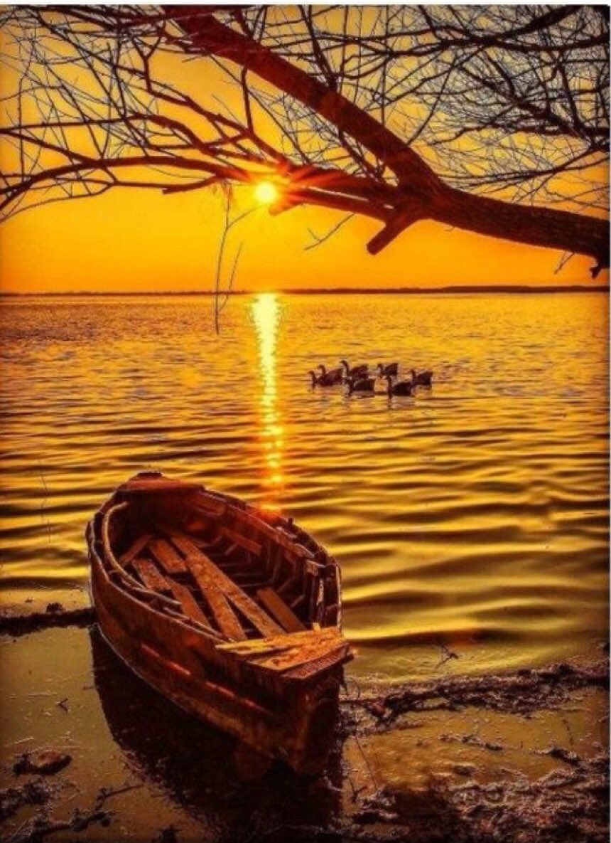 Alahlam654's tweet photo. @alkaidye @yggg__ @FA__RoQi @PetroShet @ASSh505 @mohadalaraby505 @Dr_ah_ @tyttyh200 @AlgmalYoossefY1 @mop28607912 @AliGase40040131 @dweaui @mona73403100 @BedToolz @nasrawe2022 @MgtjEIBpa1iOFhQ "انتقِ جُلَّاسَك ومجالسك ، فإنَّ الأفكار مُعدِية" 😎👌🏻 https://t.co/qstp6pmt2B