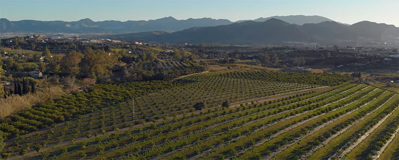 VdelGuadalhorce's tweet photo. Fincas rústicas en Valle del Guadalhorce
https://t.co/LepH3nJgOF
#fincasrústicas #ValledelGuadalhorce #alquilerMalaga #comprarfinca https://t.co/UlHdFATVAC