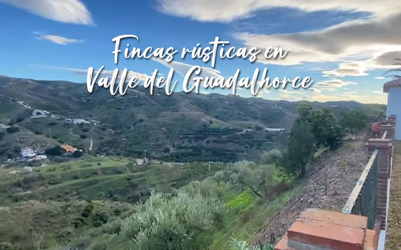 VdelGuadalhorce's tweet photo. Fincas rústicas en Valle del Guadalhorce
https://t.co/LepH3nJgOF
#fincasrústicas #ValledelGuadalhorce #alquilerMalaga #comprarfinca https://t.co/UlHdFATVAC