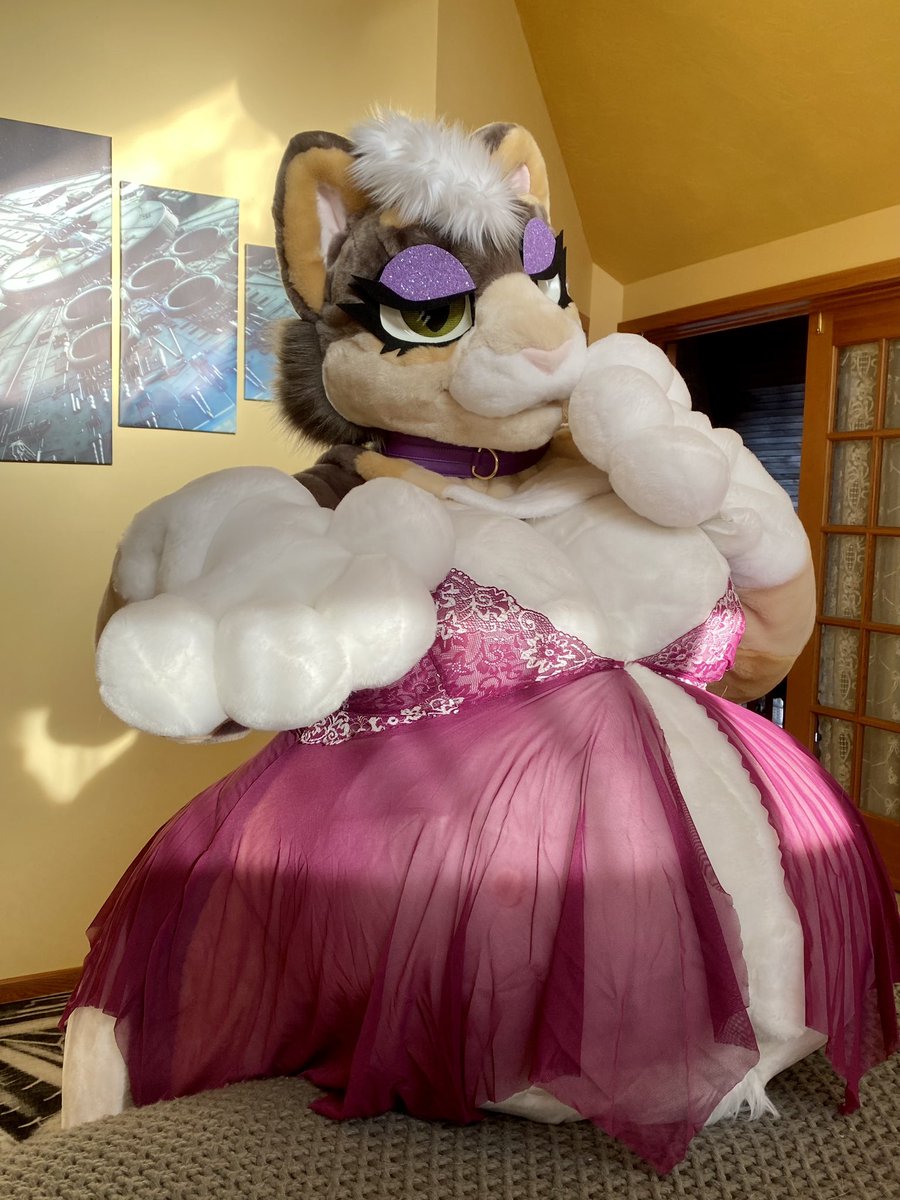 Cake The CreampieCat On Twitter Mind If I Flop My Enormous Belly On cake-the-creampiecat-on-twitter-mind-if-i-flop-my-enormous-belly-on