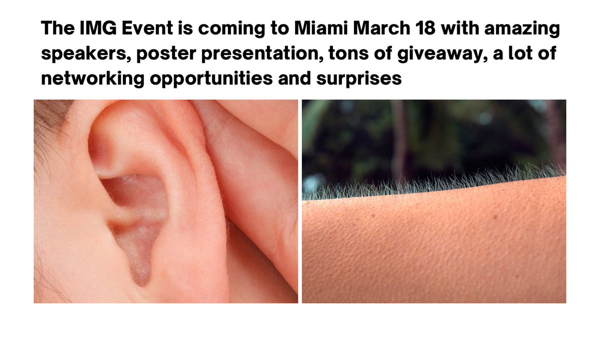 The IMG Event™ tweet media