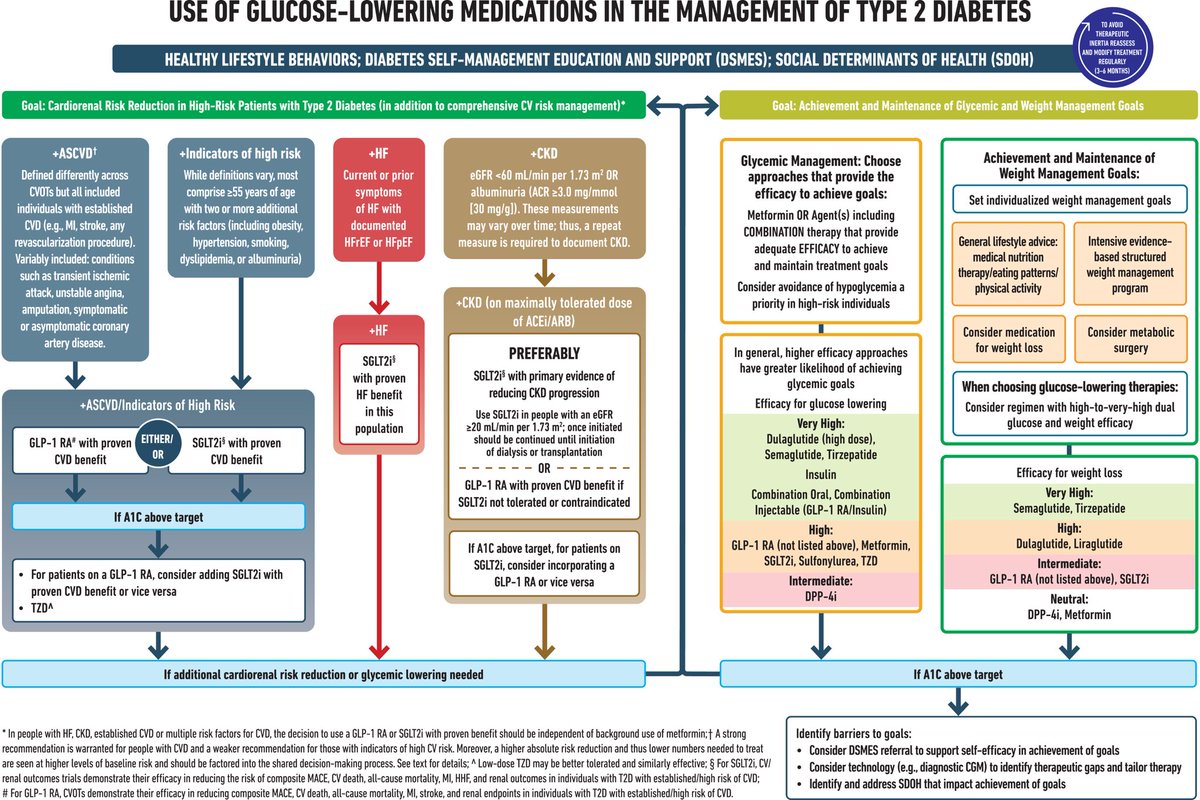 ⭐️2023 ADA Guideline Update⭐️ What’s New in the 🧵below: