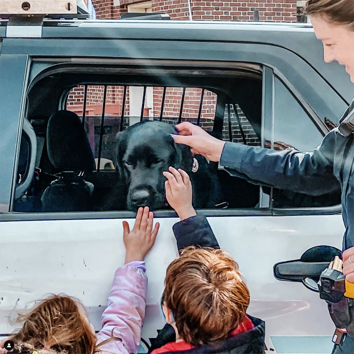FedEx (@fedex) on Twitter photo <a href="/pbborganization/">Puppies Behind Bars</a>' next pup with purpose for us to meet is Indy! Indy helps ease distrust and anxiety officers experience on a daily basis. ❤️ <a href="/pbborganization/">Puppies Behind Bars</a>' next pup with purpose for us to meet is Indy! Indy helps ease distrust and anxiety officers experience on a daily basis. ❤️