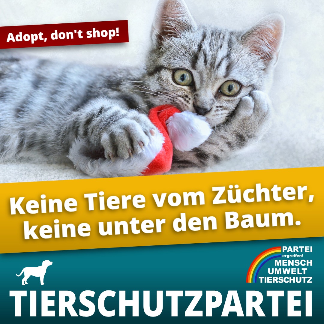 Tierschutzparte's tweet photo. #Tiere sind keine #Weihnachtsgeschenke!

Das Fest der Liebe nähert sich mit großen Schritten, die #Tierheime sind jetzt schon überfüllt (und es herrscht Aufnahmestopp).
Was hat beides miteinander zu tun? [1/3]

#adoptdontshop #Weihnachten #Tierrechte #Tierschutz #Tierschutzpartei https://t.co/kLzvG20qqU