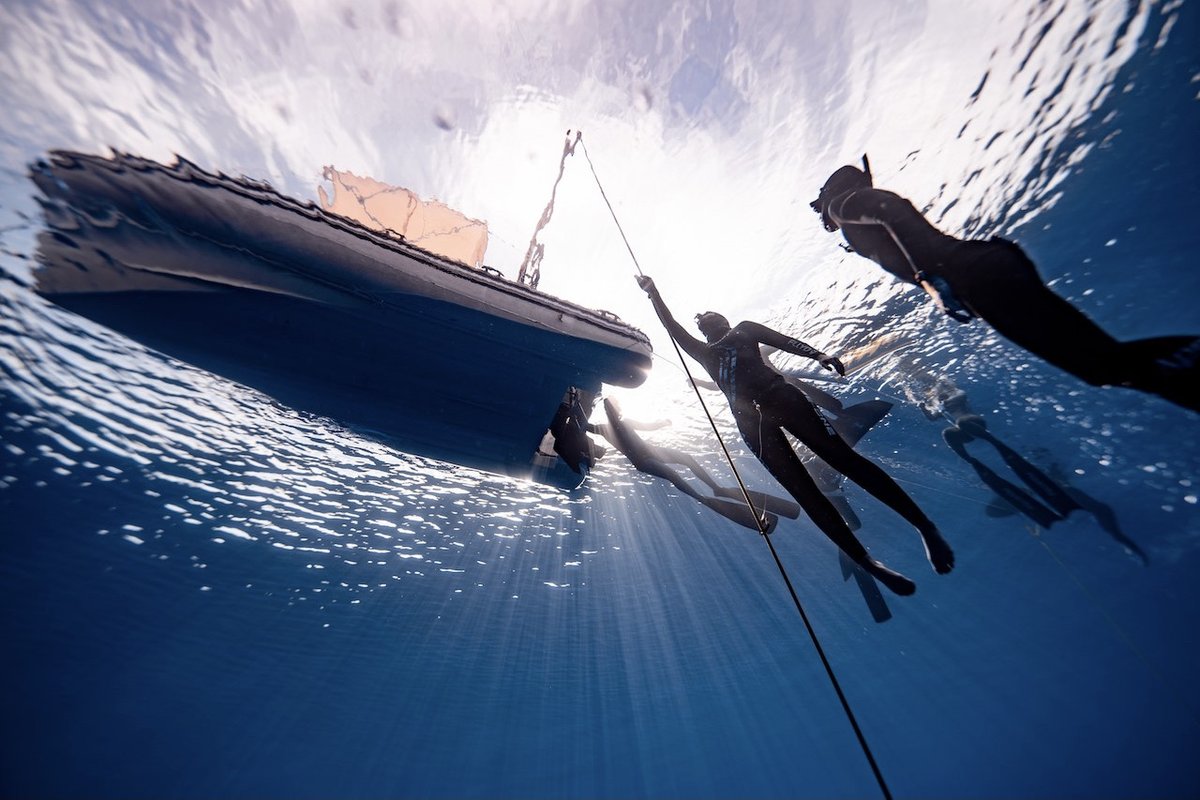 LarnakaRegion's tweet photo. When you're thinking about your next diving trip, you may just want to explore what's on offer by our shores too https://t.co/CJMT9UvtFf
#Zenobia #LF1 #MVElpida #DoridaReef #Skopia https://t.co/au9IoFMmQA