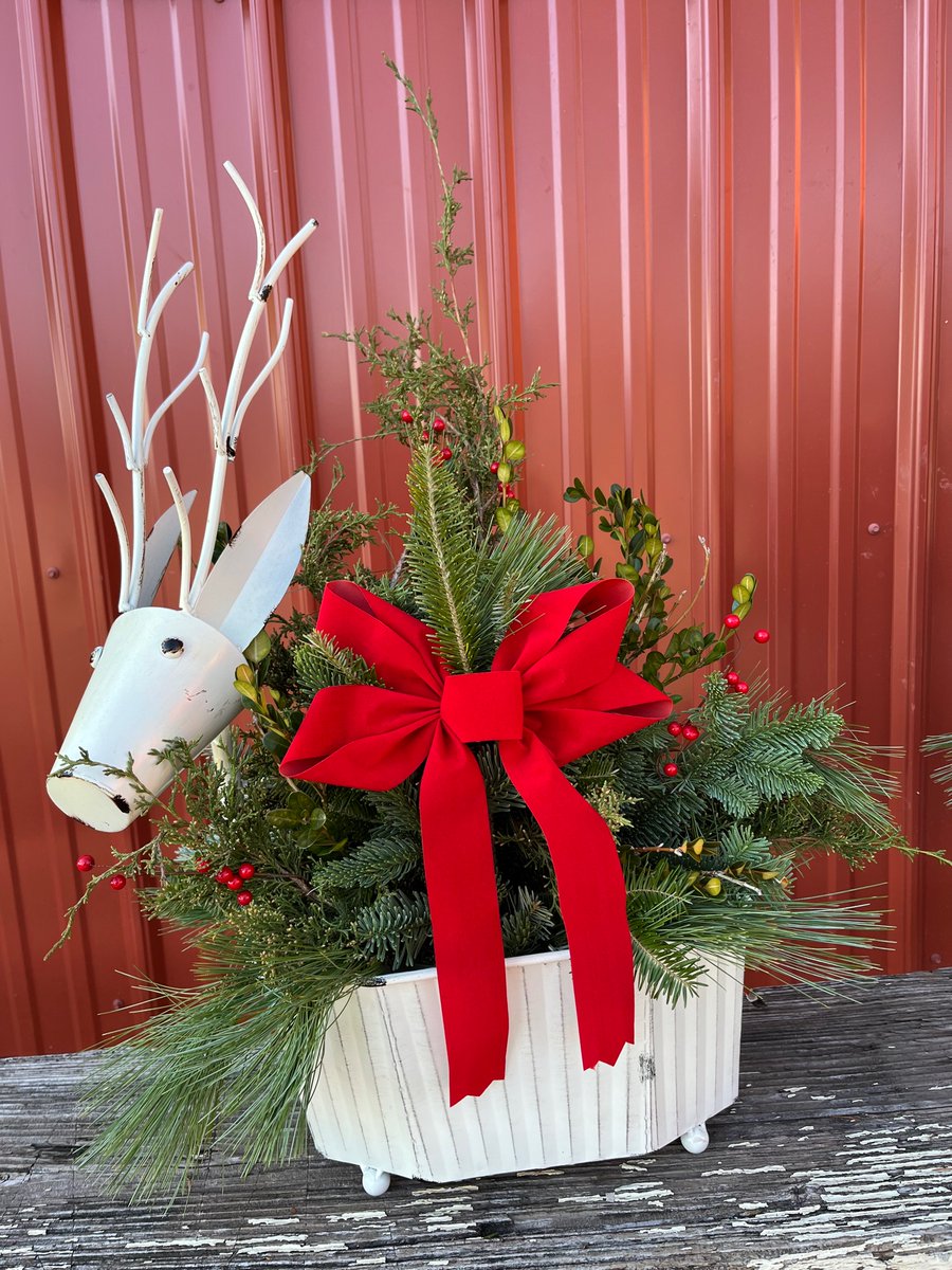 Em_Sitko's tweet photo. 🎄 https://t.co/rMN15AMign