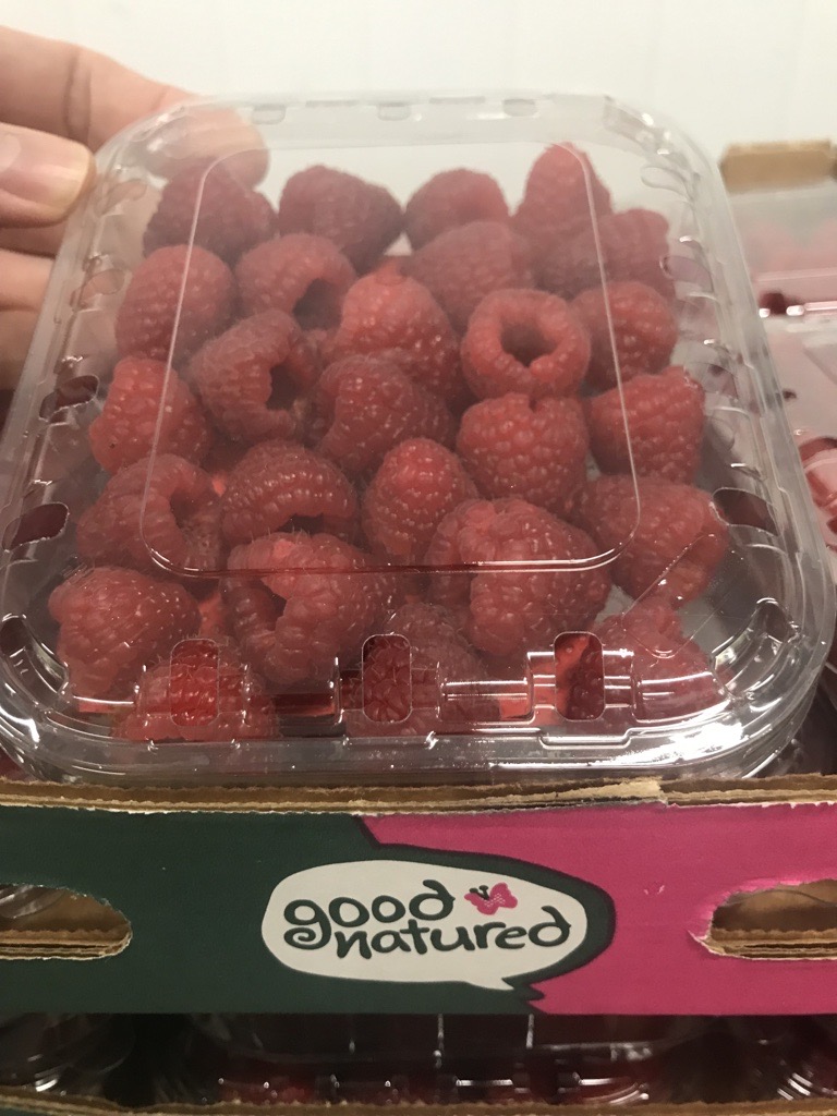 AngusFruit's tweet photo. Delicious Good Natured Adelita Raspberries available 12x125g clamshells - Contact us to order yours today! 
#AngusTradingTeam #Blueberries #TheBerrySpecialists #Adelita #Hospitality #FreshProduce #SoftFruit #Raspberries #Catering #Wholesale #Trading #FoodMarket #FreshFruitMarket https://t.co/7kYiBxyFSm