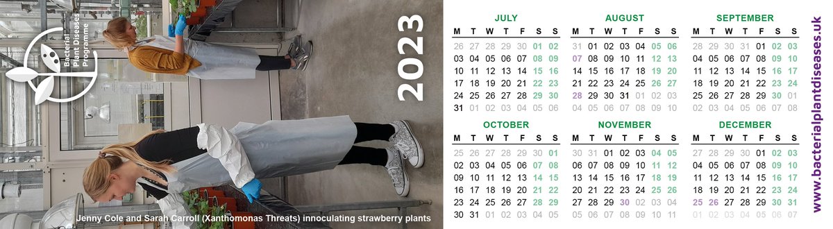 We've made some lovely bookmarks for 2023 featuring some of our #planthealth researchers @MBen_15 <a href="/SarahCarr0ll/">Sarah Carroll</a> and Jenny Cole with <a href="/AjBryning/">Adam Bryning</a> behind the camera. Read about what they're up to in the pictures here bacterialplantdiseases.uk/bacterial-book…