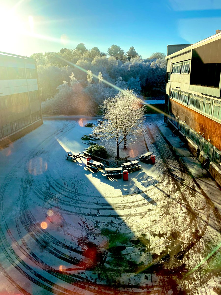 A Truly Beautiful Day