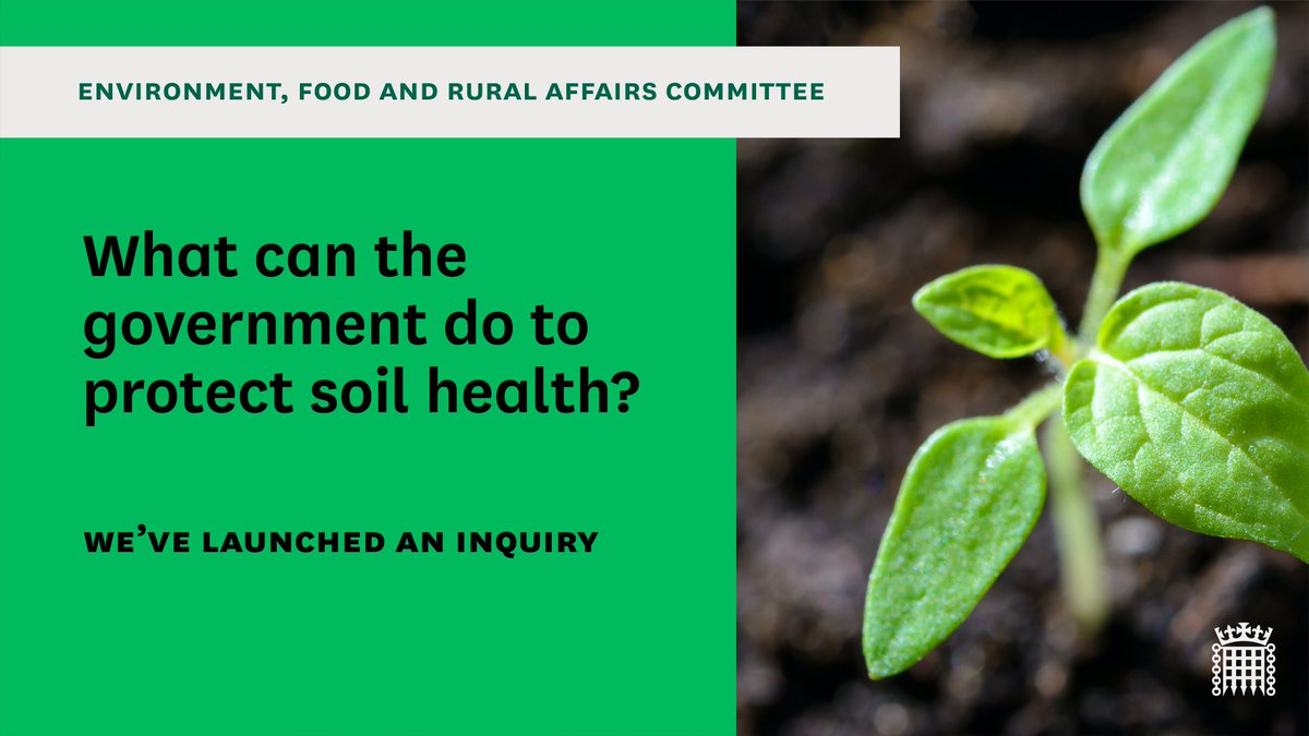 🆕We've launched an inquiry on Soil Health🌱

❓What changes are needed in the food &amp; agriculture sector to encourage better soil management + how can @GovUK support this transition?

Read our terms of reference and submit your views by 5 February👇
committees.parliament.uk/call-for-evide…