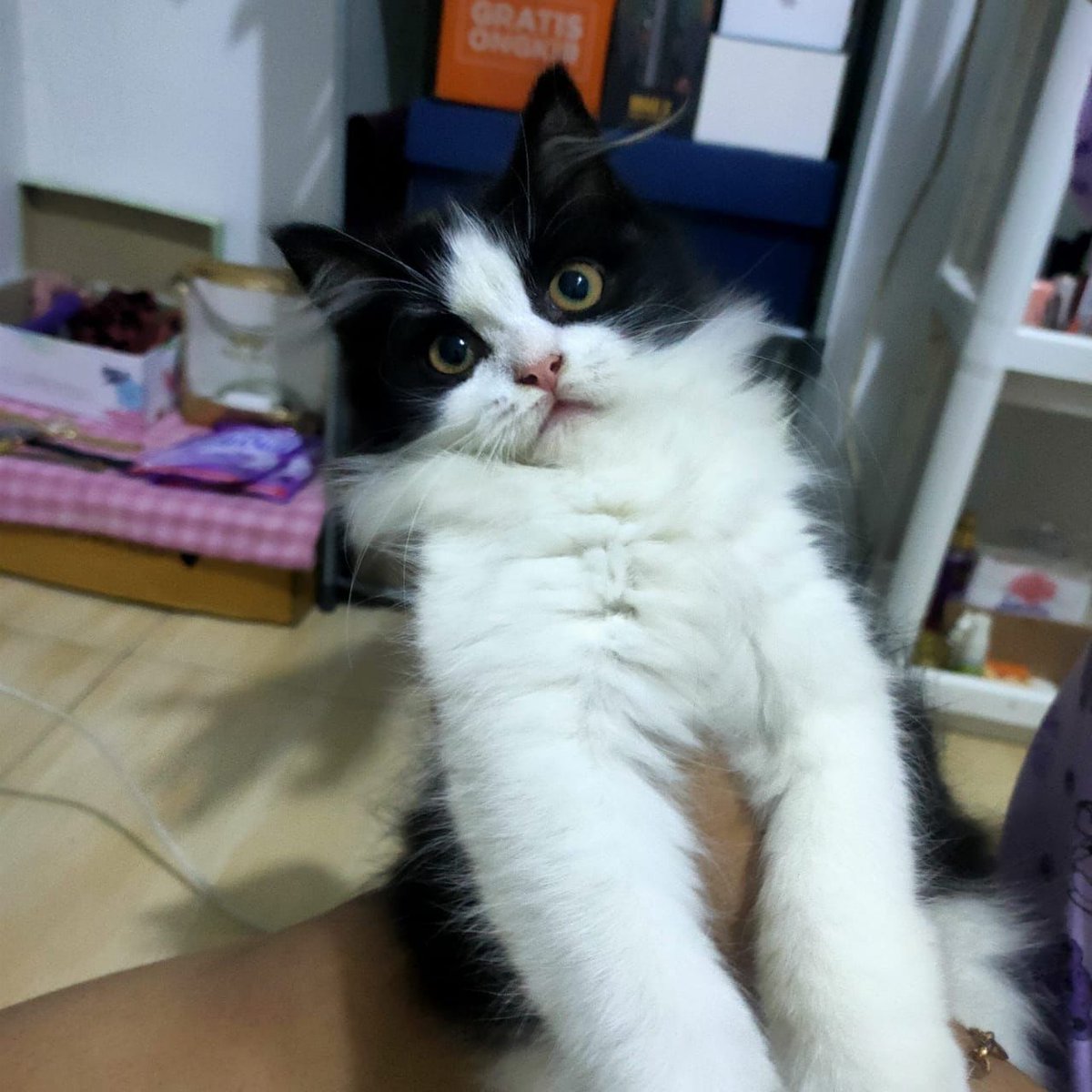 pakRt027's tweet photo. Si gemessss 😬 https://t.co/Mt0kF2vnda