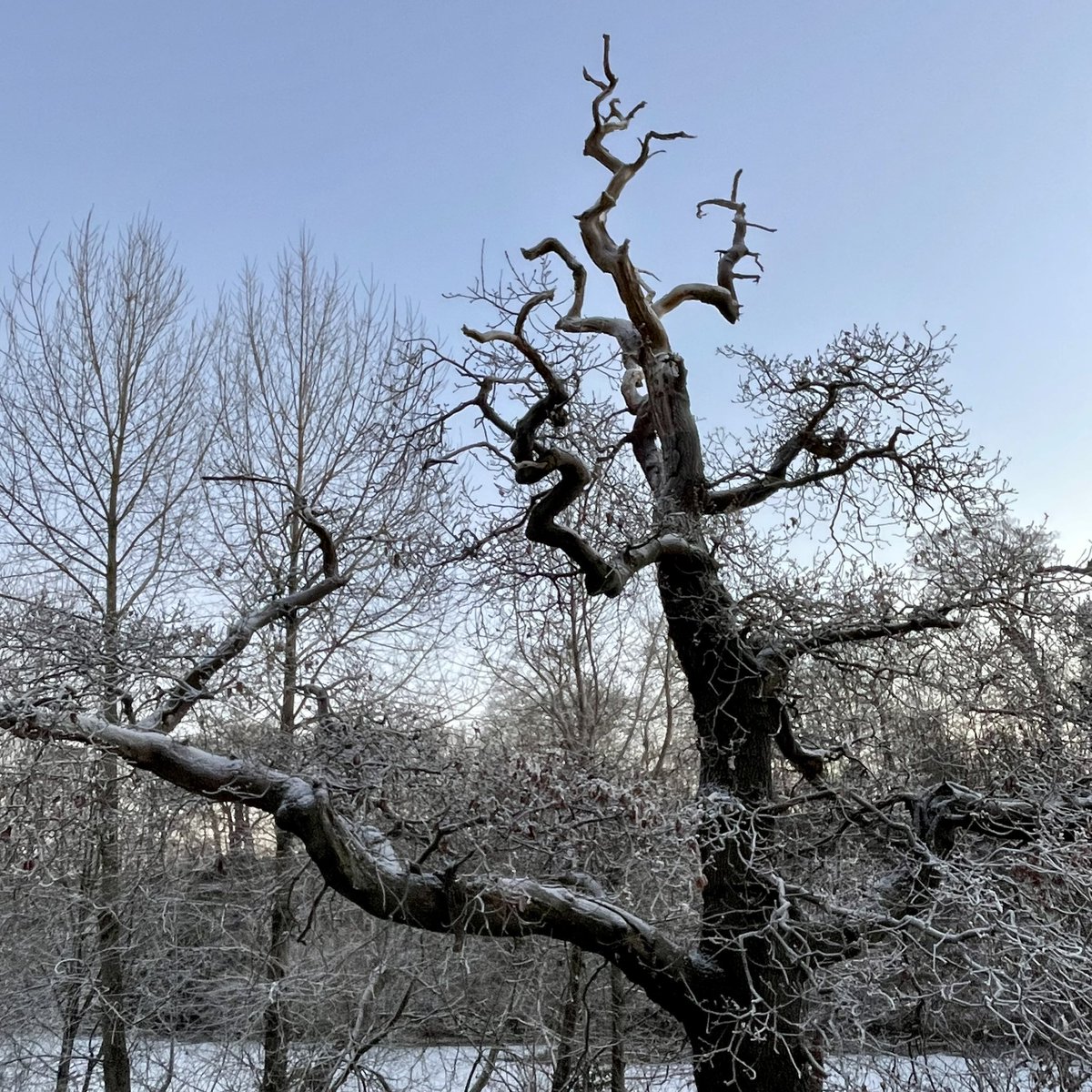 Louise Barrett (@louisegbarrett) on Twitter photo The frosted surroundings of UWS Ayr campus were looking pretty in the late afternoon light. It’s rare to see the river iced over! <a href="/UniWestScotland/">UWS</a> <a href="/UWSPGDESEC/">UWS PGDE Secondary</a> <a href="/PgdeUws/">UWS PGDE Primary</a> <a href="/ba_uws/">UWS BA Primary</a> <a href="/UWS_ITE_English/">UWS PGDE Secondary English</a> <a href="/UWSPE/">UWS Physical Education</a> <a href="/UWS_ITE_Science/">UWS ITE Science</a> <a href="/ArtistTeacherUK/">Artist Teacher @UWS</a> <a href="/UWSeducation/">School of Education</a> <a href="/UWSalumni/">UWS Alumni</a> The frosted surroundings of UWS Ayr campus were looking pretty in the late afternoon light. It’s rare to see the river iced over! <a href="/UniWestScotland/">UWS</a> <a href="/UWSPGDESEC/">UWS PGDE Secondary</a> <a href="/PgdeUws/">UWS PGDE Primary</a> <a href="/ba_uws/">UWS BA Primary</a> <a href="/UWS_ITE_English/">UWS PGDE Secondary English</a> <a href="/UWSPE/">UWS Physical Education</a> <a href="/UWS_ITE_Science/">UWS ITE Science</a> <a href="/ArtistTeacherUK/">Artist Teacher @UWS</a> <a href="/UWSeducation/">School of Education</a> <a href="/UWSalumni/">UWS Alumni</a>
