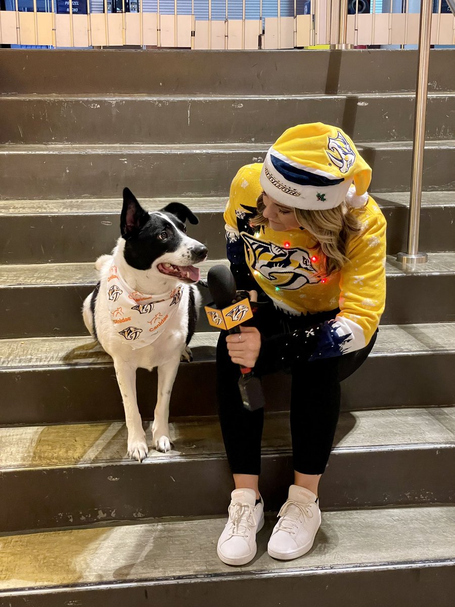 saratgiles's tweet photo. very important good boy video shoot today‼️ https://t.co/XactxfoCJ9