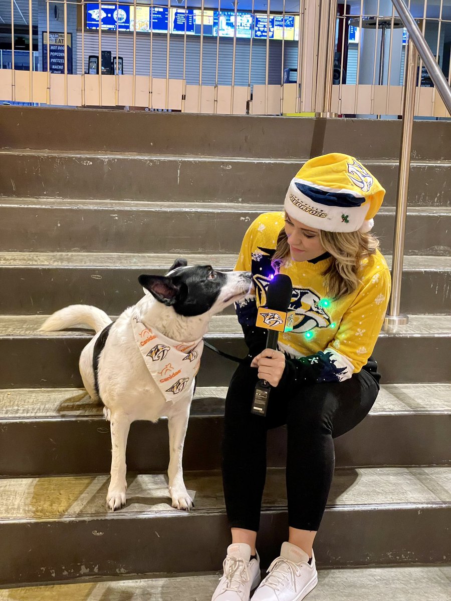 saratgiles's tweet photo. very important good boy video shoot today‼️ https://t.co/XactxfoCJ9
