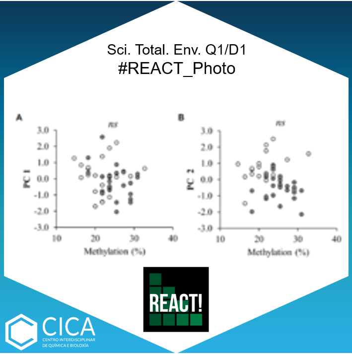 CICAUDC's tweet photo. M. Sánchez, D. R. Ramos, M.I. Fernández, S. Aguilar, I. Ruiz, M. Canle, M. Soto from #REACT_PHOTO group published “Removal of emerging pollutants by a 3-step system: Hybrid digester, vertical flow constructed wetland and photod...” in Sci. Total. Env. 👉 https://t.co/h4yRUVRqO5 https://t.co/V0HQxxQAHZ