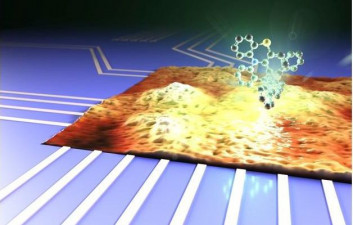 Display Daily tweet media