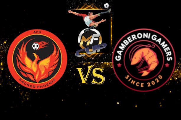 APC Sacred Phoenix tweet media