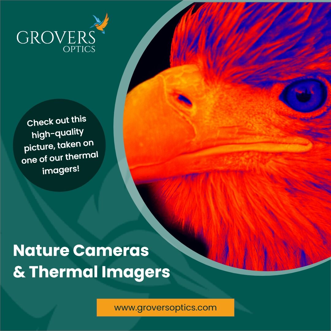 GroversOptics's tweet photo. Thermal imagers are fast becoming a must-have item. Our thermal imagers are compact, lightweight, and we have a range suitable for all budgets. Find yours at https://t.co/UDJVBbDYiW 

#groversoptics #thermalimagers #naturephotography #wildlifewednesday https://t.co/ExtDn7WQtz