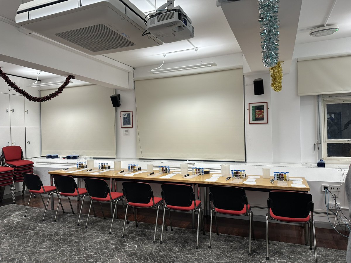 giulia_casal's tweet photo. Labathon at the @LMCB_UCL 🥳🎄 https://t.co/KtpVhf30ye
