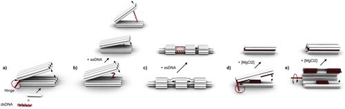 DNA_Nanotech's tweet image. Mechanical DNA Origami to Investigate Biological Systems
onlinelibrary.wiley.com/doi/10.1002/ad…
