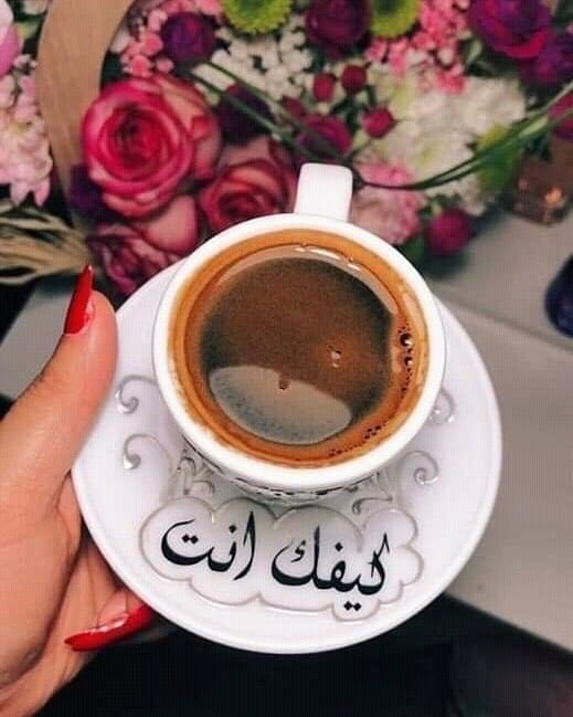 Um Gala (@moza66418867) on Twitter photo 