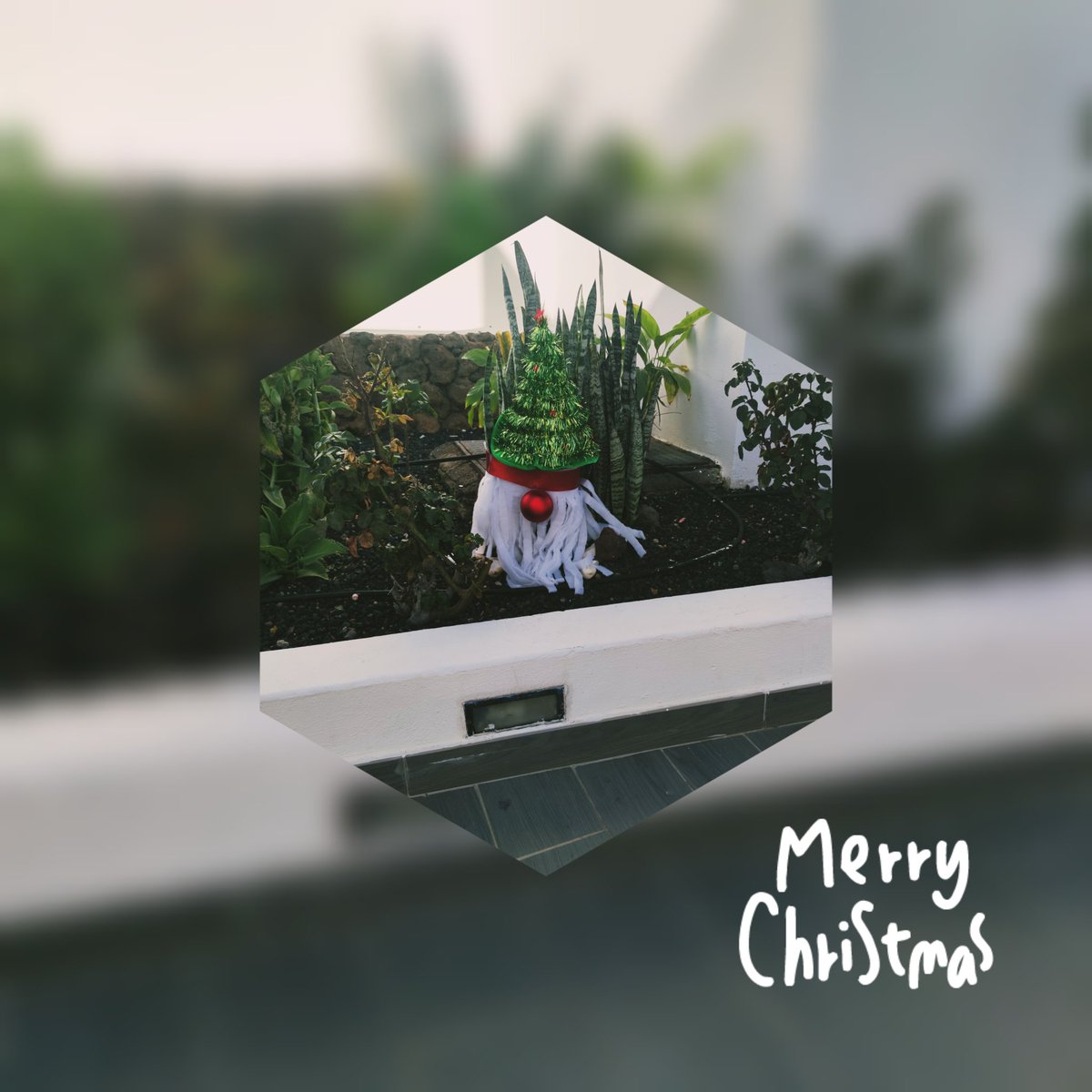 Lucía Sánchez (@marialucasnche1) on Twitter photo Un #gnomo navideño en el jardín del #sunsetbayclud veras #RecycledChristmasGarden @ElenaDortaRM <a href="/thais_MCT/">Thais-Moreno</a> @Ceci_Cabrera8 🎄☃️❄ Un #gnomo navideño en el jardín del #sunsetbayclud veras #RecycledChristmasGarden @ElenaDortaRM <a href="/thais_MCT/">Thais-Moreno</a> @Ceci_Cabrera8 🎄☃️❄