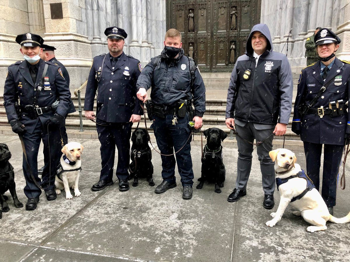 FedEx (@fedex) on Twitter photo Thanks for tuning in for the <a href="/pbborganization/">Puppies Behind Bars</a>' take over! Learn more about the #FedExCares 2022 #GivingTuesday Grant Contest and <a href="/pbborganization/">Puppies Behind Bars</a> here: at.van.fedex.com/6015eRbrH Thanks for tuning in for the <a href="/pbborganization/">Puppies Behind Bars</a>' take over! Learn more about the #FedExCares 2022 #GivingTuesday Grant Contest and <a href="/pbborganization/">Puppies Behind Bars</a> here: at.van.fedex.com/6015eRbrH