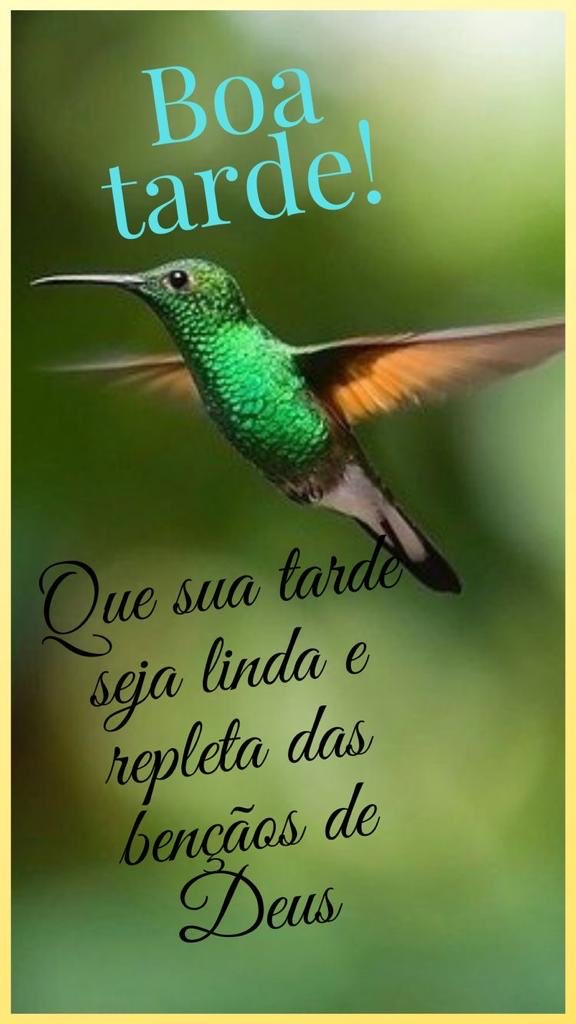 daisyandrades's tweet photo. https://t.co/RuGW3HD2wH