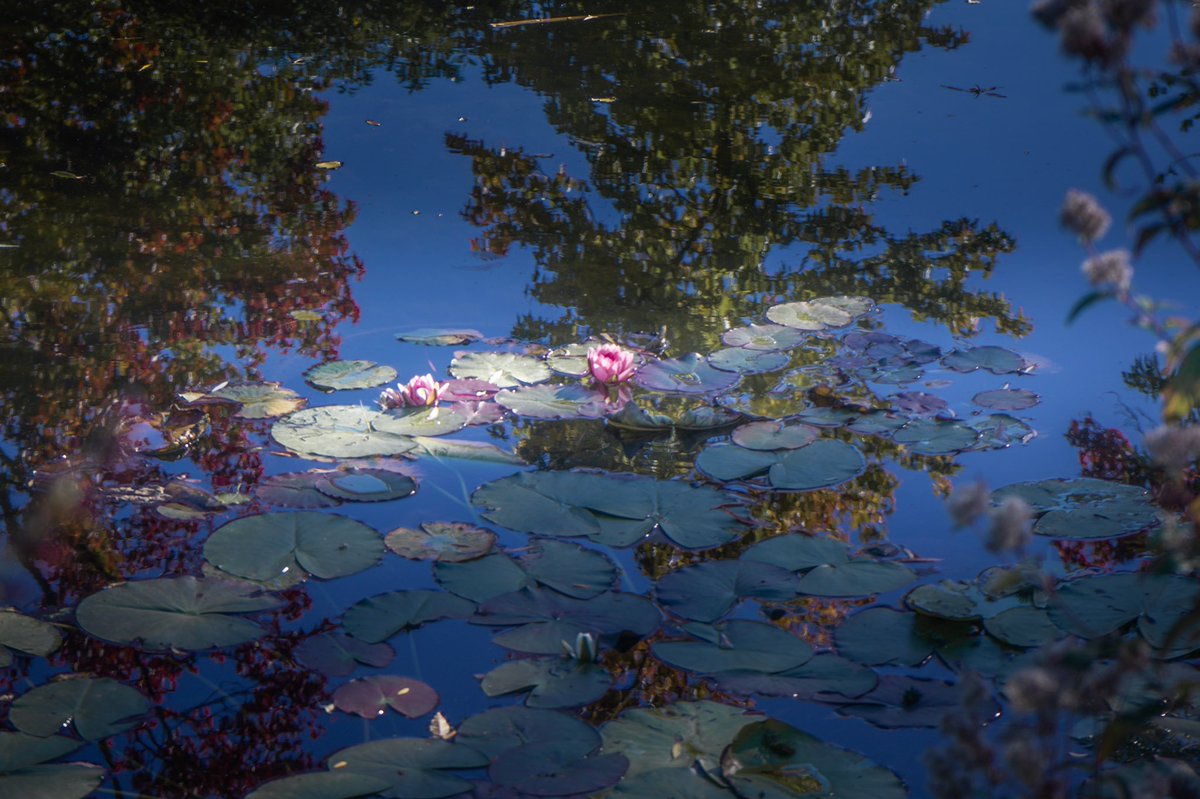 samanthacavet's tweet photo. He had a passion for depicting natural light and how it can affect the life we see around us. 

He painted the same subjects over and over for this reason. 

The more I looked at his work, the more I understood this. https://t.co/anNYcc7HuC