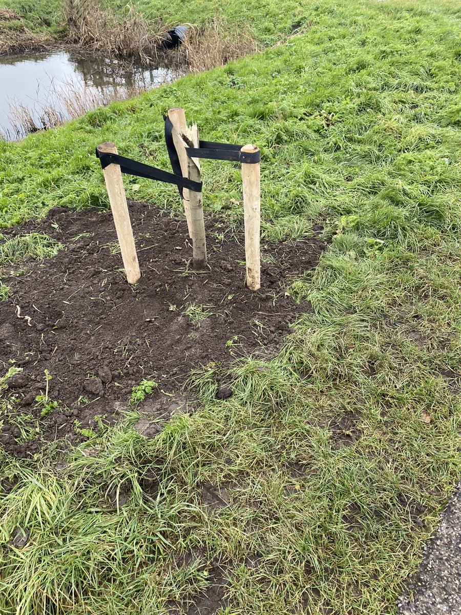 harmj59's tweet photo. gespot, afgelopen gespot; voetbal feest/frustratie of ander zinloos geweld; wat een imbecielen @gem_BR https://t.co/G68XSnazII
