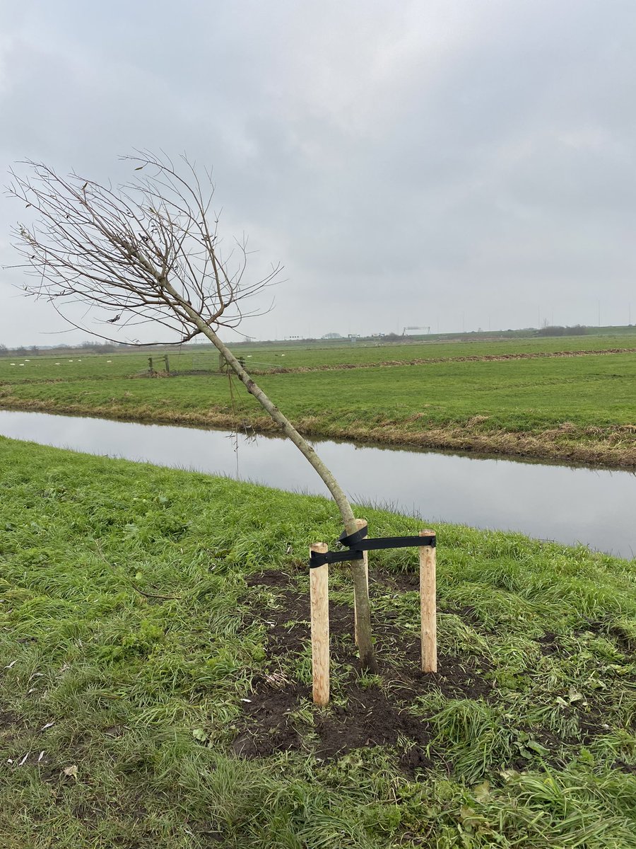 harmj59's tweet photo. gespot, afgelopen gespot; voetbal feest/frustratie of ander zinloos geweld; wat een imbecielen @gem_BR https://t.co/G68XSnazII