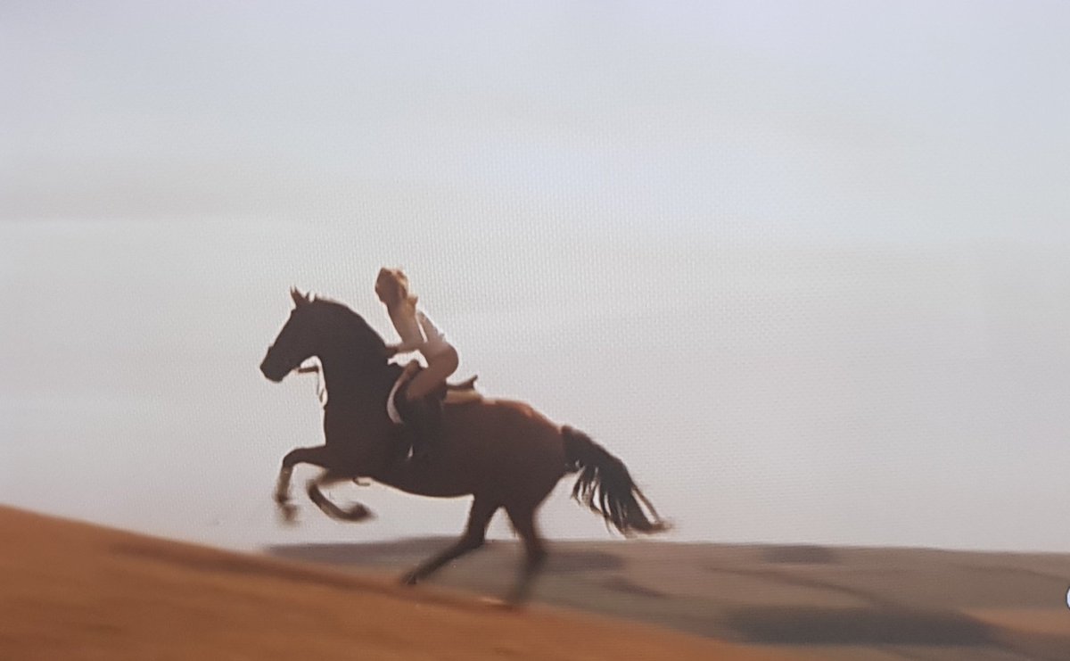 Laura Hernandez.No grupos ,no multimenciones. tweet media