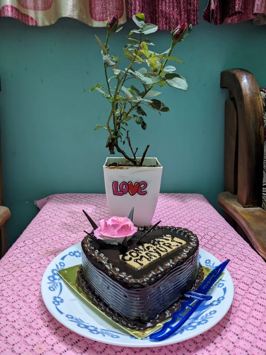 Thank you <a href="/qed42/">QED42</a> for the yummy cake😋 and the lovely rose plant 😍 on  work anniversary!