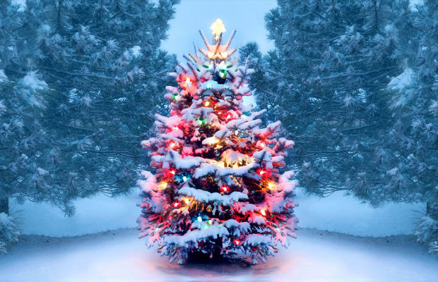 BTHFT Audiology tweet media