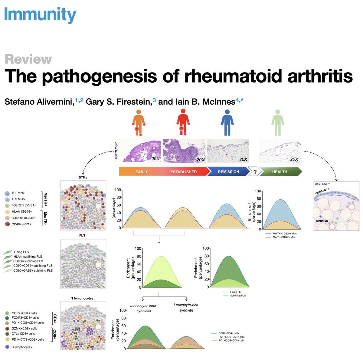 The pathogenesis of rheumatoid arthritis

Every new year the story gets deeper!
<a href="/SteAlivernini/">Stefano Alivernini</a> @Immunity