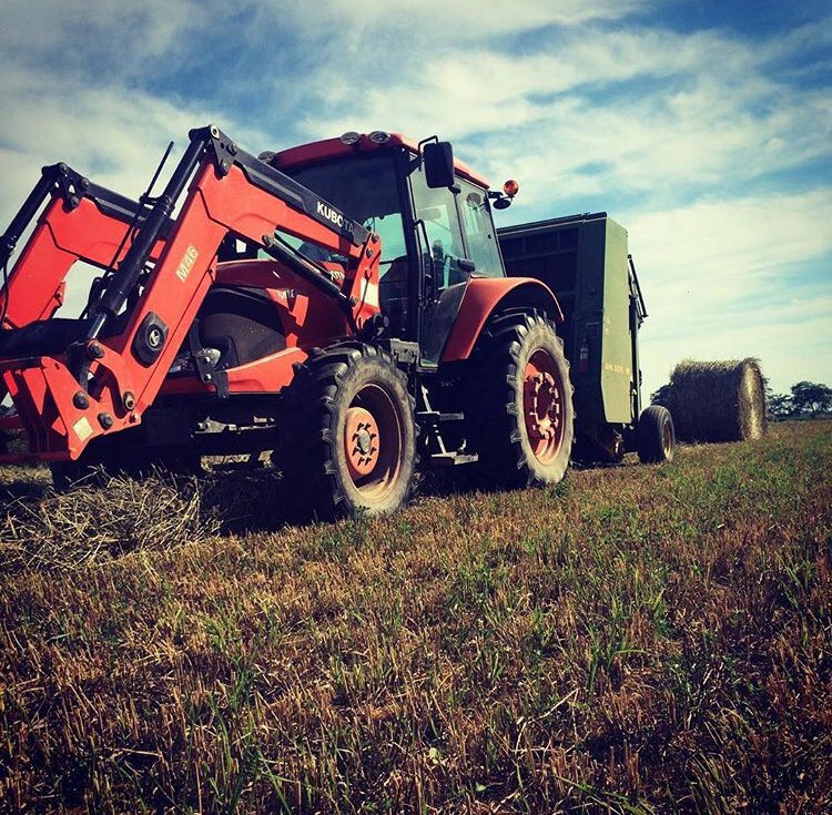 Nolan McLarty tweet media