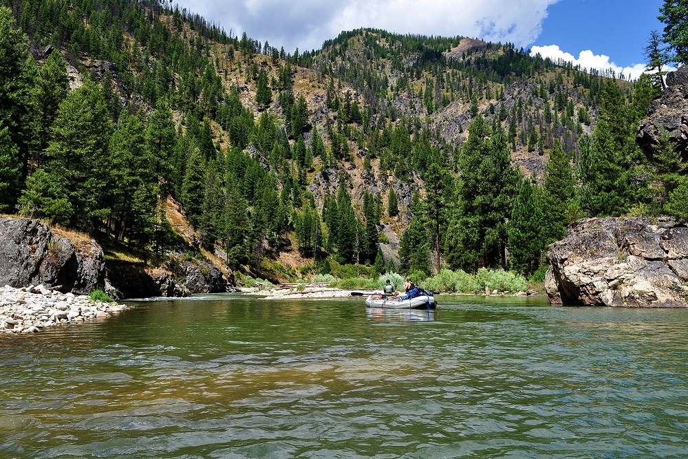 salmonchallisnf's tweet image. Trip Down the Middle Fork of the Salmon River 

Day 3: 🚣‍♀️ Near Cannon Creek