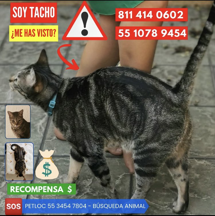 Lluviaa Nice tweet media