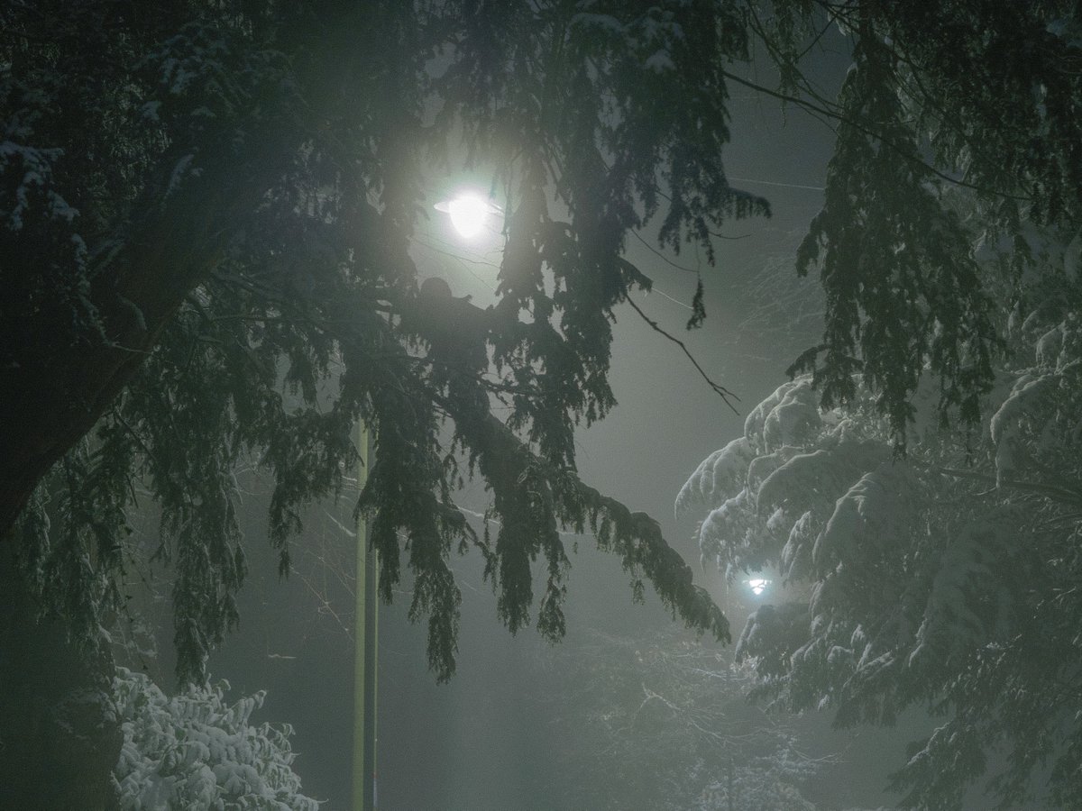 tracedinlight tweet picture