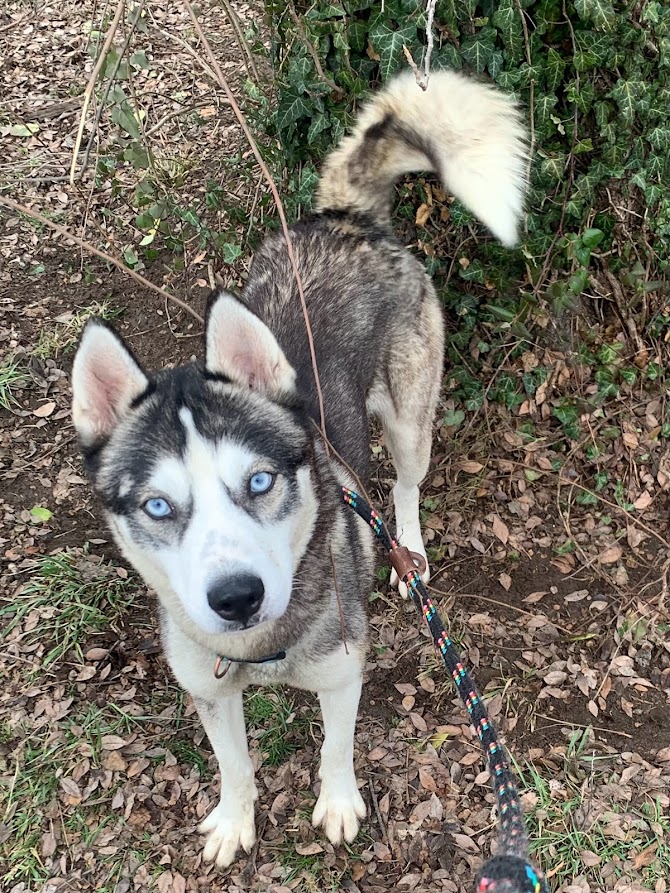 Cincinnati Police Department on Twitter "Did you know, one of the best