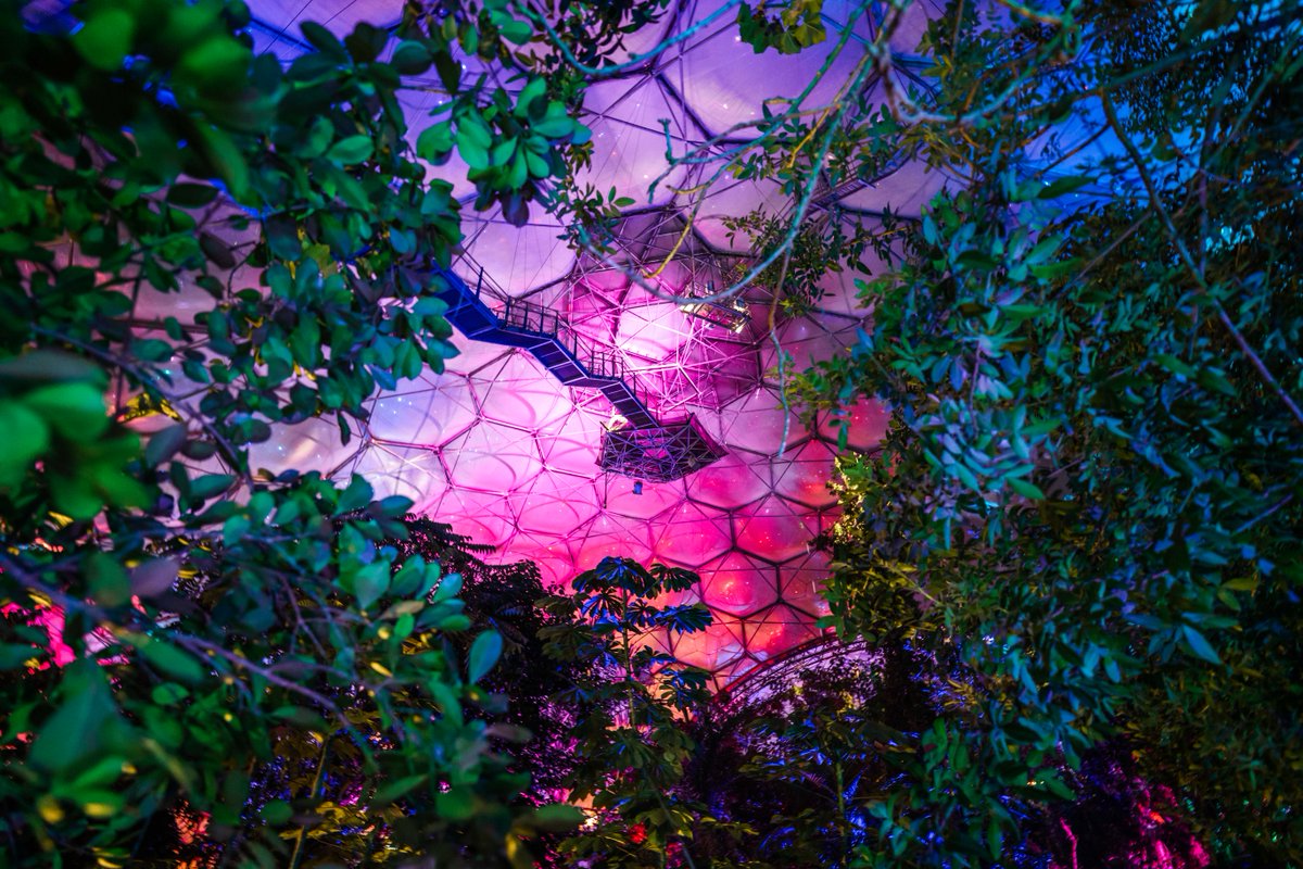 On a scale of one to magical… 💫

Christmas at Eden is running from 15-23 and 27-30 December. 

Book online to secure your slot 👉 edenproject.com/christmas