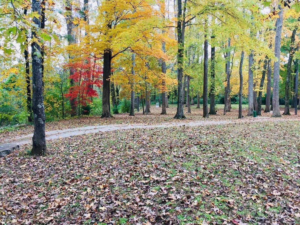 ky_adventure's tweet photo. Visit the Gateway to the Cumberlands, &amp; explore Briar Creek Park for a day of hiking. So much to see and do in Williamsburg, Kentucky so plan your trip today! https://t.co/RzUIwyJbPP #williamsburgky #trails #travelky #kyadventure #adventureky #adventuretrails https://t.co/bqWpuKyDMe