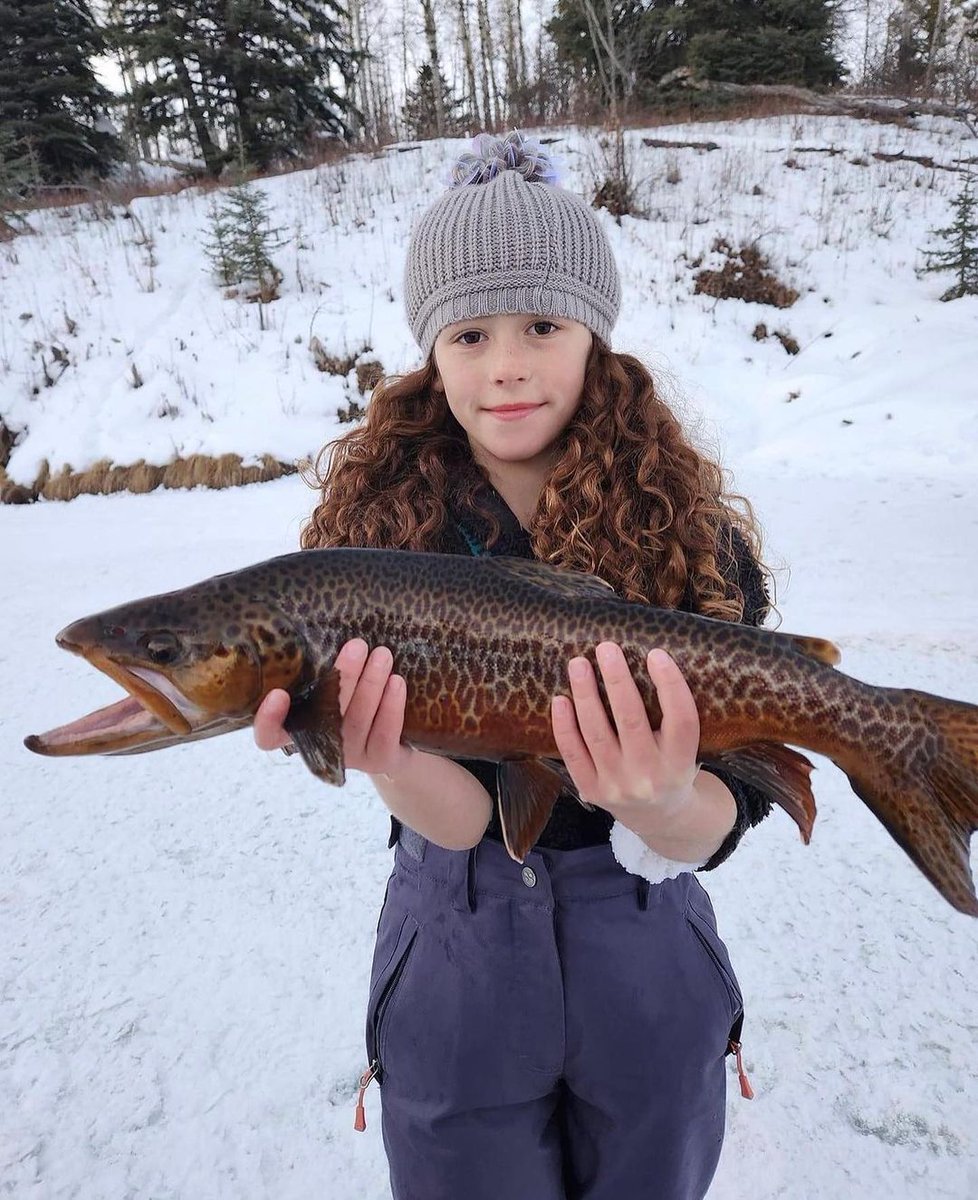 SAM_MENX's tweet image. Ice Fishing 🐟😍

#fishing #fish #fishinglife #catchandrelease #bassfishing #nature #outdoors #carpfishing #fishingislife #angler #pesca #bass #carp #flyfishing #fisherman #fishingtrip #largemouthbass #fishingaddict #trout #bigfish #hunting #saltwaterfishing #photography