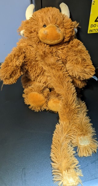 ℹ️ LOST PROPERTY: This fluffy friend was found today.

🚆He was on the 15:49 St Pancras to Ashford International service.  

🏠We'd like to get him home before Christmas so if he belongs to you, please let us know!